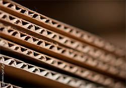 � ����������� ������� ����� ��������� ������� �� ������������ ������������