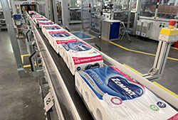 Zewa ������ �������� �� Zemma � ��������� ����� ���� ��� ������ �������� ������