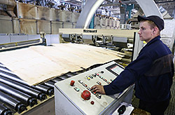 В Тверской области запущен новый деревообрабатывающий завод «Талион Арбор» по производству OSB-плит