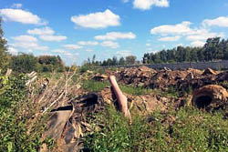 ��������������� ���������� ������������ ��� �� ������������������� ������