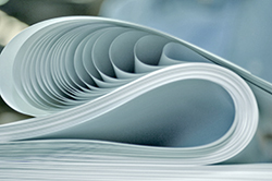 ����� ����: ����� ������� ���������� ����