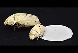 �� ��������� ������� ������ � 30 ��� ����� ������