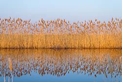 ����� ��������� ������ ������ �� ������ � ����������