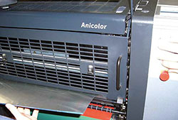    Anicolor  