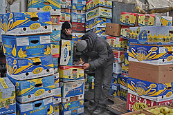 В правительстве вдвое увеличивают норматив утилизации товаров и упаковки из картона
