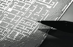 ������������ ��� �����!