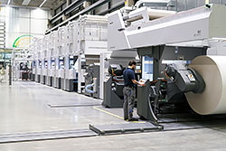 Heidelberg    Boardmaster        