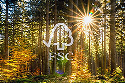 ��� ����������� ������������� �������� ������ ����������� ����������� FSC