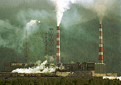 ����� ���� ���������� ������������� � �������� 1,9 ����. 