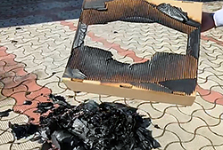 ���� ���������� ��������� �� ������������ ������� �� ��������� ���� �� �������