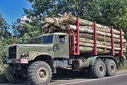 ������������� ������ ��������� ���������������� ����������� � 2023 ����