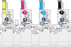 ���� ���� �� Anicolor