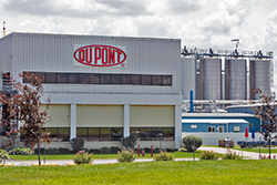 DuPont        