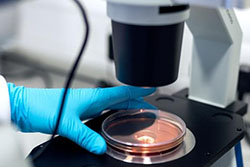 ���������� ��������� ������� ����� ����������� ������ �� �������