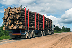 ������� ����� ������ �� ����������� ������������ ������ ��� ����������� ���