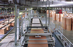 "����" �������� ����