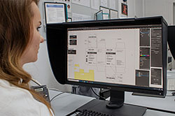 ����������� ������� 268 �������� ��� ������������ ���������� � 2025 ����