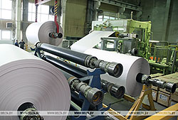 Производство бумаги и картона в Беларуси за 2021-2025 годы планируют увеличить в 2,1 раза